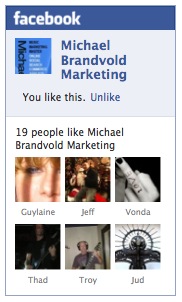 Michael Brandvold Marketing Facebook Page