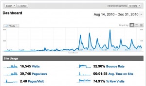 MichaelBrandvold.com web stats